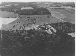 Part of Freteval Forest and the farm