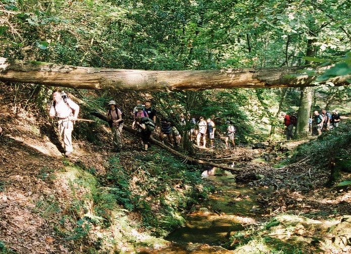 Walkers crossing wooded terrain on the Comète route